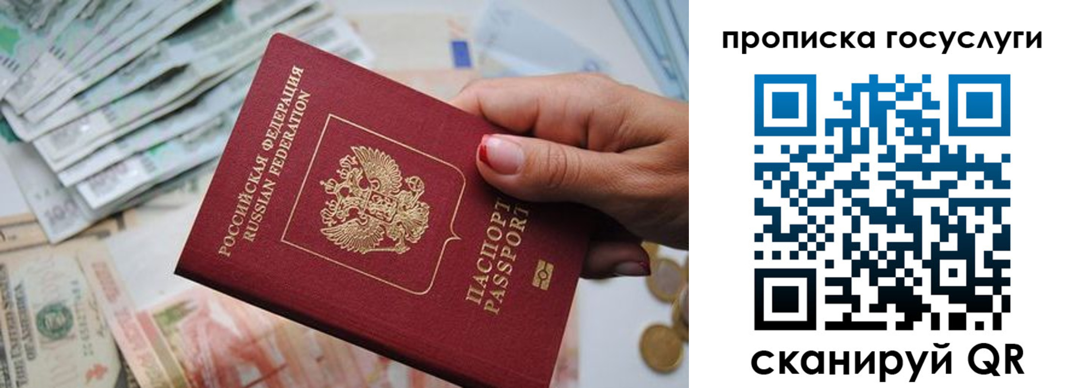 прописка поиск в Калуге